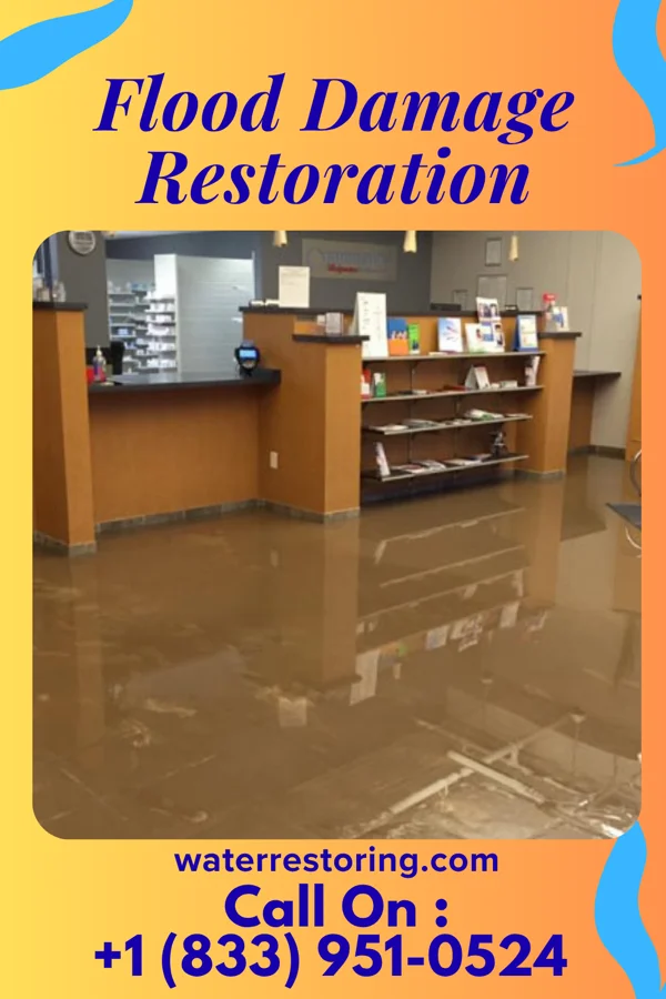 Flood Damage Restoration in Cornwells Heights, PA