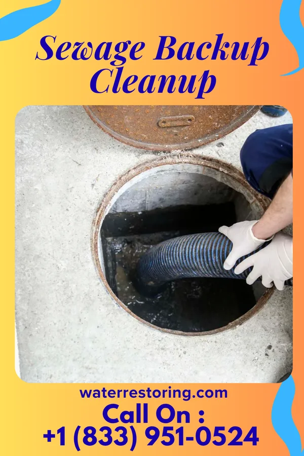 Sewage Backup Cleanup in Cornwells Heights, PA