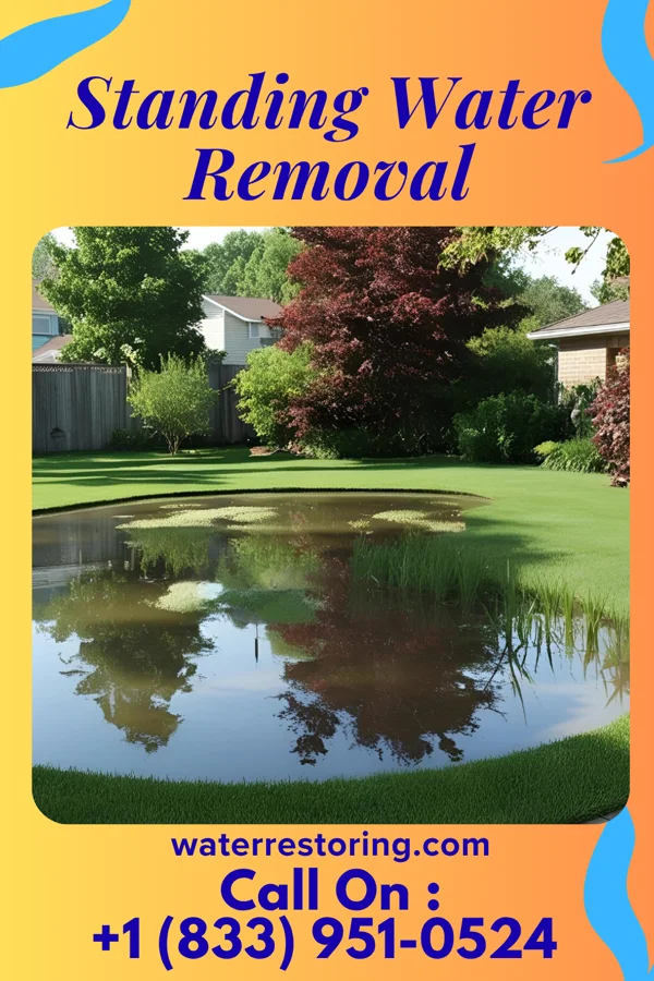 Standing Water Removal in Cornwells Heights, PA